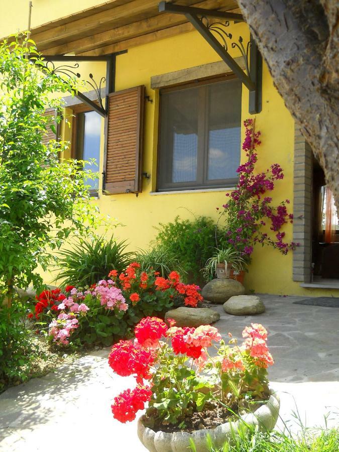 La Rupe Del Falco Monteciccardo Exterior photo